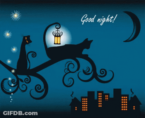 Cat On Tree Branch With Lantern Saying Good Night GIF