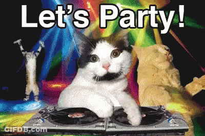 Cat On Turntable Let's Party GIF