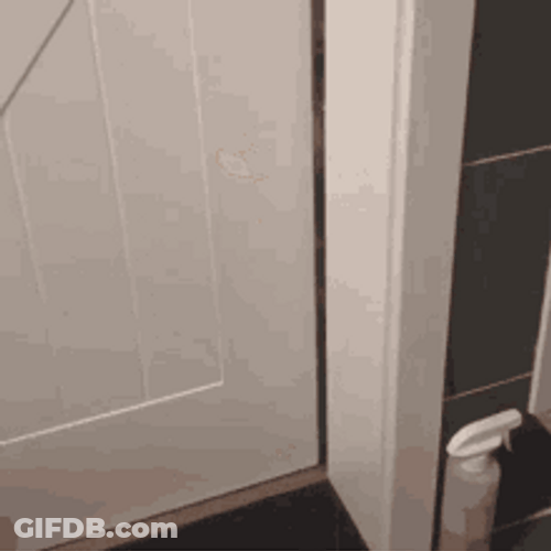 Cat Open Door GIF