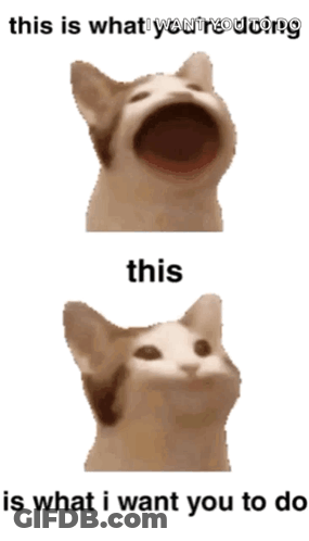 Cat Open Mouth This Is What I Want You To Do GIF