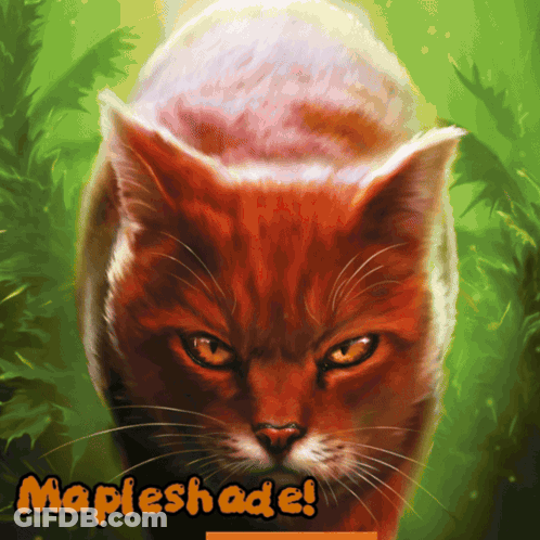 Cat Painting Saying Mapleshade GIF