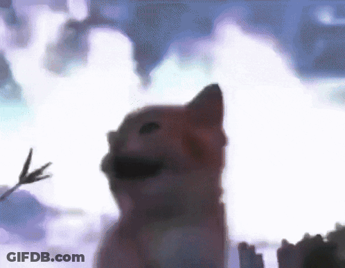 Cat Painting With Bird GIF