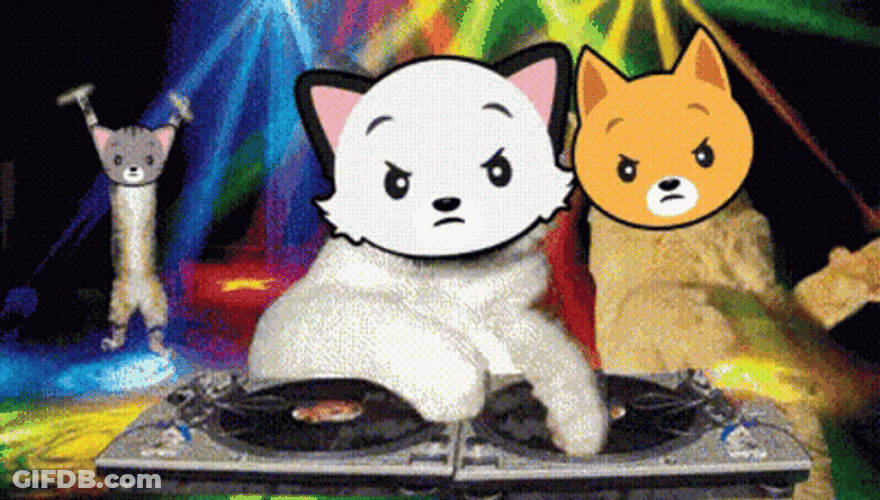Cat Party DJ Cartoon Dance GIF
