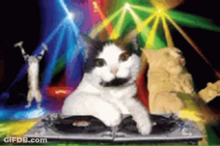 Cat Party DJ Dancing GIF