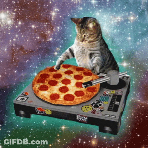 Cat Party DJ Pizza Galaxy GIF