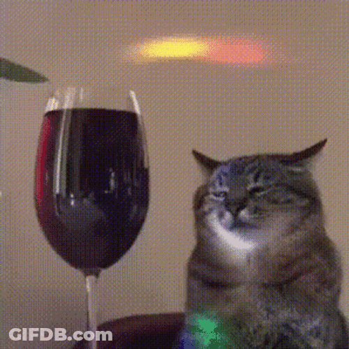 Cat Party Drunk Cat Red Wine GIF