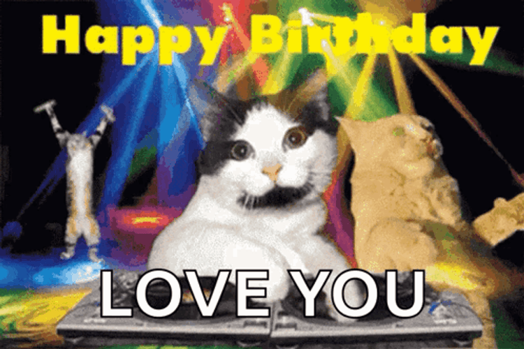 Cat Party Happy Birthday Love You GIF