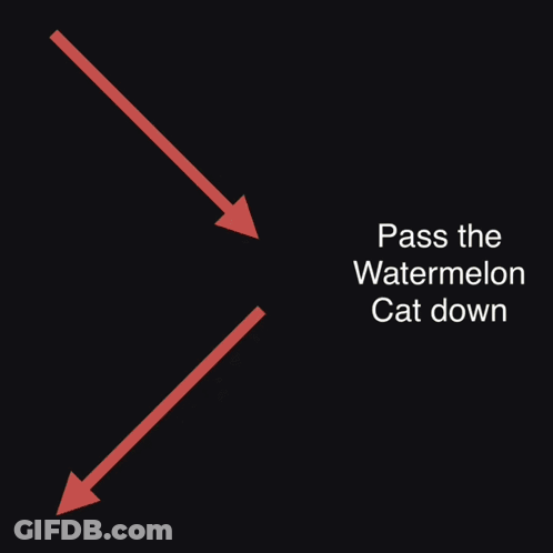 Cat Passing Watermelon GIF