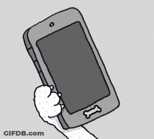 Cat Paws Holding Smartphone GIF