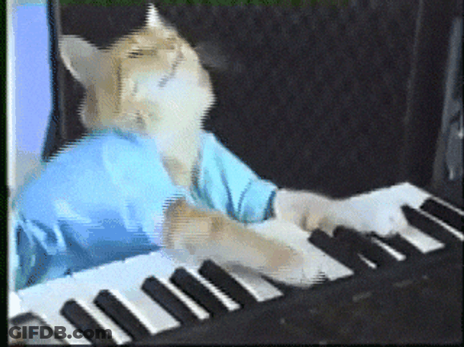 Cat Paws On Piano GIF