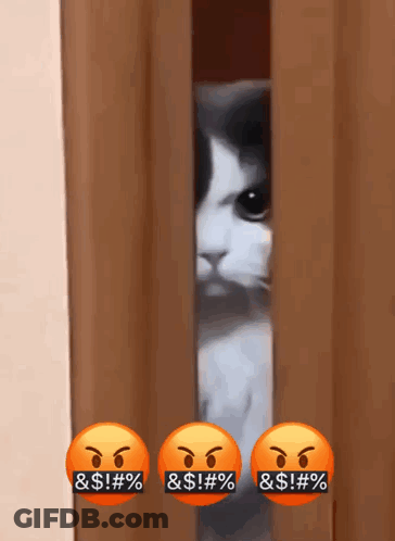 Cat Peeking Behind Curtain With Angry Faces Saying & $ ! % GIF