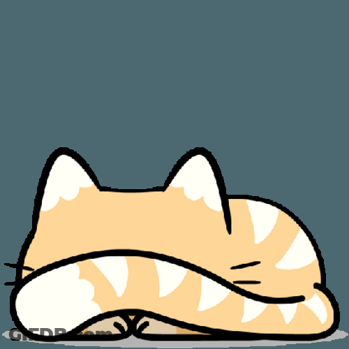 Cat Peeking Behind Tail GIF