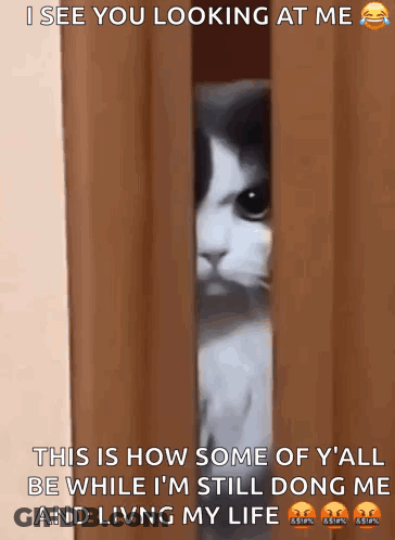 Cat Peeking Door I See You Looking At Me GIF