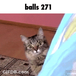 Cat Peeking From Behind Blue Blanket Balls 271 GIF