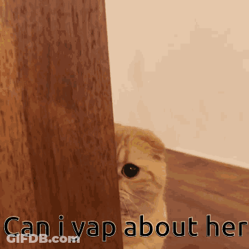 Cat Peeking From Behind Door Can I Yap About Her GIF