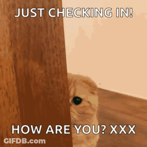 Cat Peeking From Behind Door Saying Just Checking In GIF