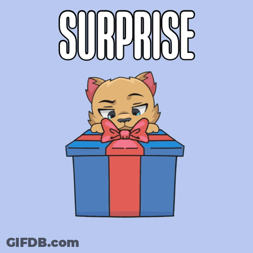 Cat Peeking From Blue Gift Box Surprise GIF