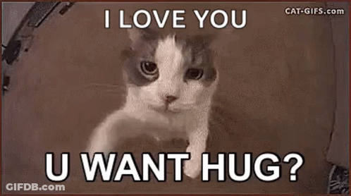 Cat Peeking From Box Saying I Love You U Want Hug GIF