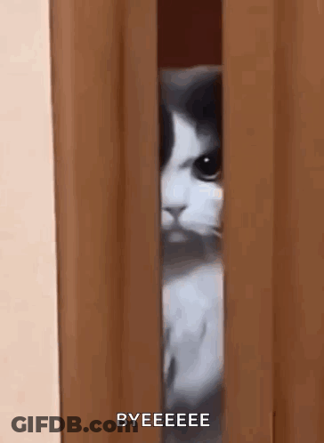 Cat Peeking From Door Saying Bye GIF