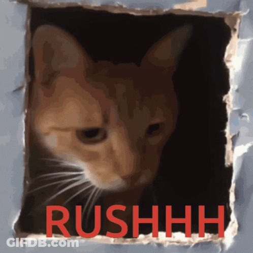 Cat Peeking From Hole With Red Rushhh GIF