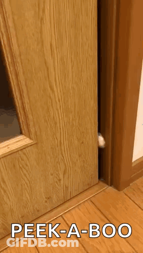 Cat Peeking From Wooden Door With Peek-A-Boo GIF