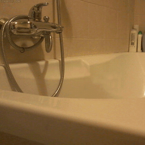 Cat Peeking In Bath Tub GIF