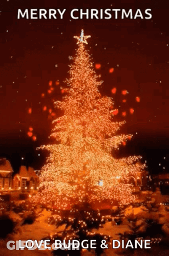 Cat Peeking Out From Behind Star Tamil Chat GIF