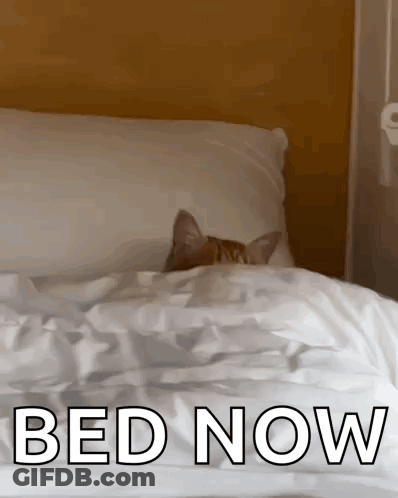 Cat Peeking Out From Under Pillow GIF