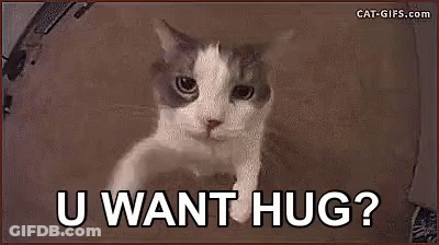 Cat Peeking Out Of Box U Want Hug GIF