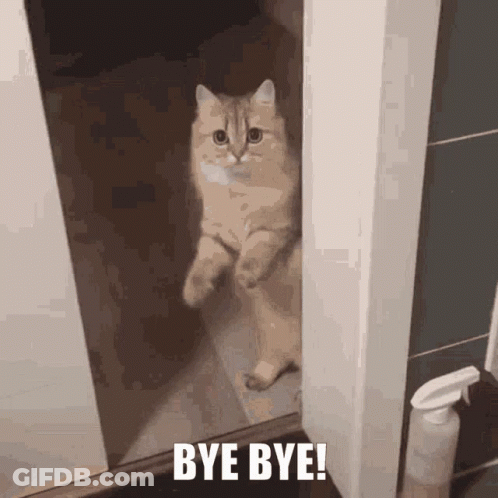 Cat Peeking Out Of Door Bye Bye GIF