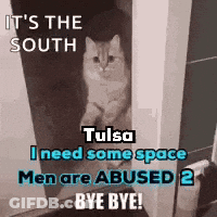 Cat Peeking Out Of Door Saying It's The South GIF