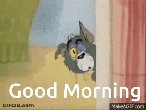 Cat Peeking Out Of Window Good Morning GIF