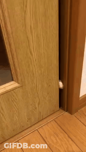Cat Peeking Out Of Wooden Door GIF