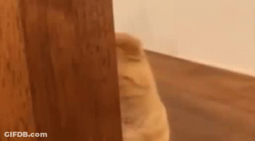 Cat Peeking Out Of Wooden Door GIF