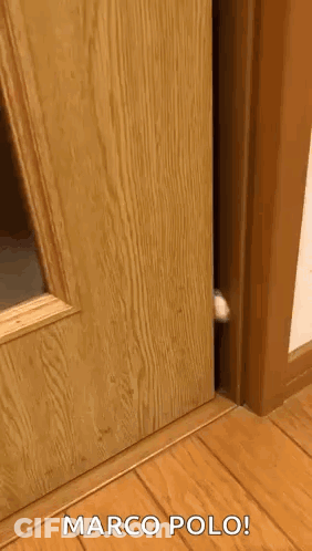 Cat Peeking Out Wooden Door Marco Polo GIF
