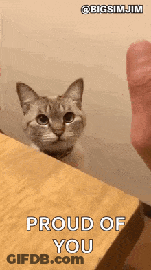 Cat Peeking Over Table GIF
