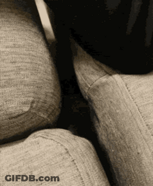 Cat Peeking Through Sofa GIF