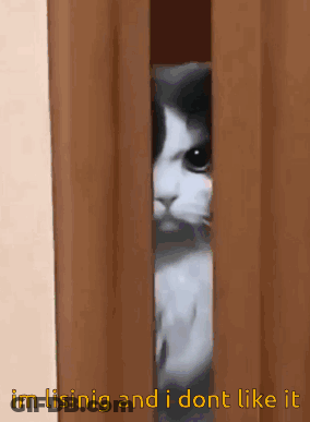 Cat Peeking With Im Lisinig And I Don't Like It GIF