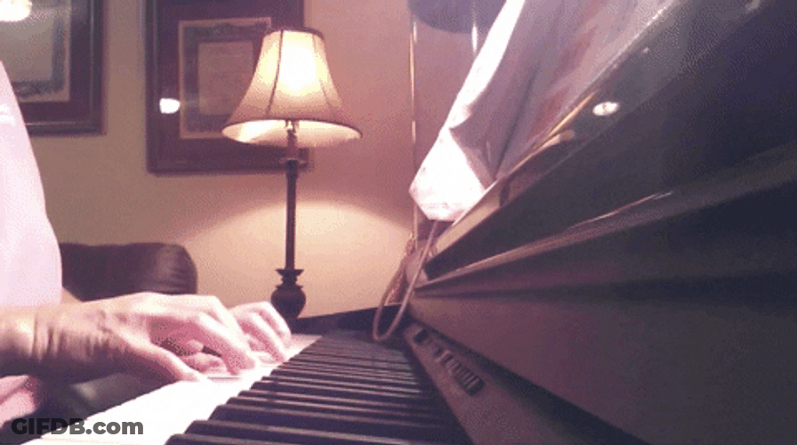 Cat Piano Joins Fur Mother GIF