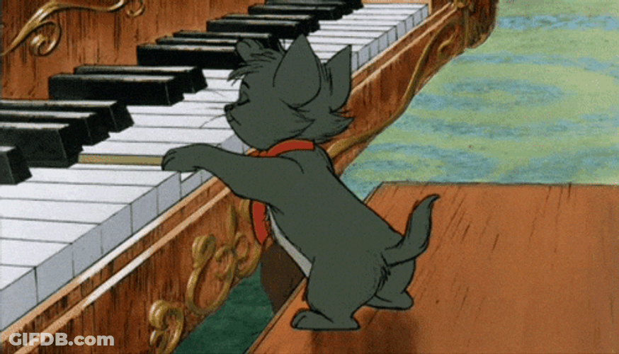 Cat Piano Kitten Trying To Play GIF