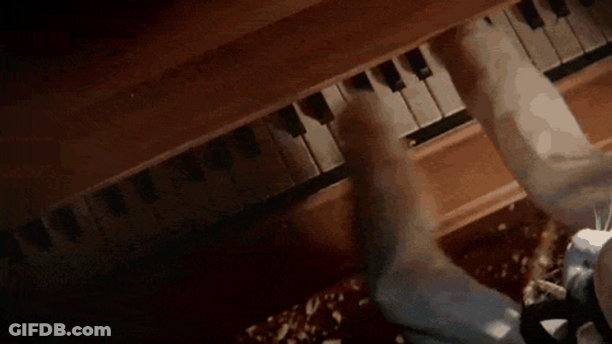 Cat Piano Using After Losing Hairs GIF