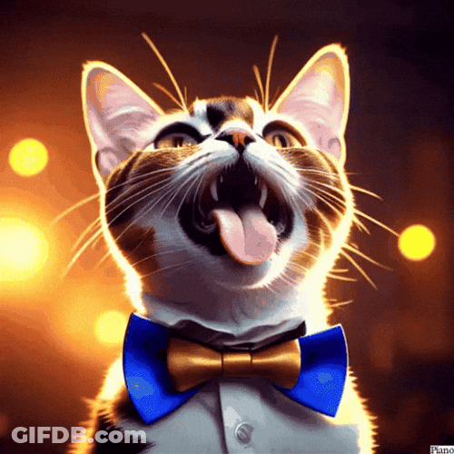 Cat Piano With Bow Tie Tongue Out GIF