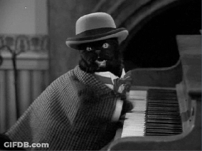 Cat Piano With Hat Plays GIF