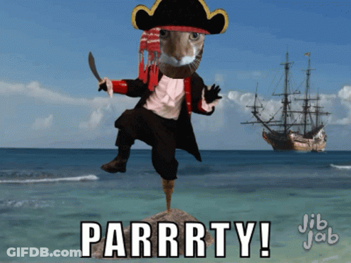 Cat Pirate Saying Parrrty GIF