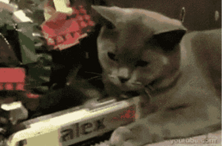 Cat Playing A Train Toy GIF