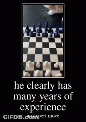 Cat Playing Chess Expert Move GIF