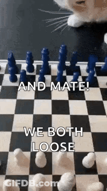 Cat Playing Chess GIF