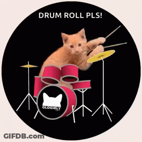 Cat Playing Drum Set Saying Drum Roll Pls GIF