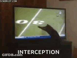 Cat Playing Football Interception GIF