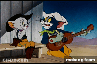 Cat Playing Guitar Next To Cat On Bench GIF